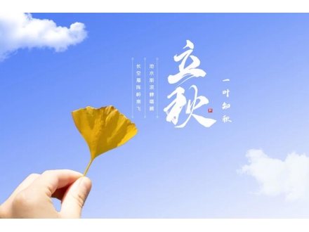 今日立秋：人間朝暮，葉落驚秋